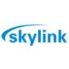 Skylink斯凯力