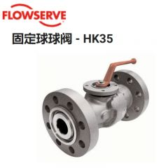 固定球球阀 - HK35