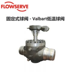 固定球球阀 - HK35