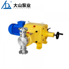 DZ-D型柱塞式计量泵