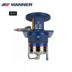 Hydra-Cell Pro®T&amp;Q D12 系列 (美制)