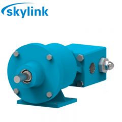 Skylink斯凯力X1-01齿轮泵