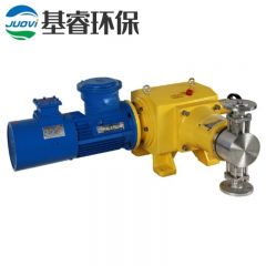 SN-JSD型柱塞式计量泵