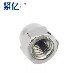 其他螺母 盖形螺母