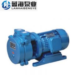 SK直联水环式真空泵